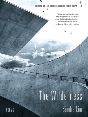 cover image of The Wilderness